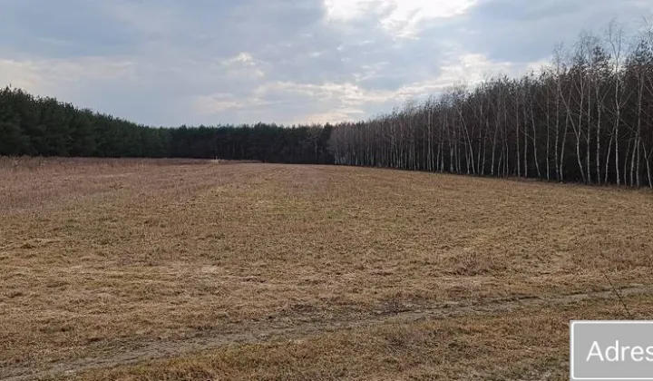 Działka rolna Pobiedna