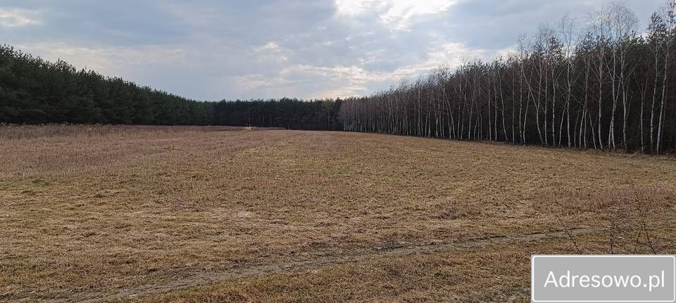 Działka rolna Pobiedna. Zdjęcie 1