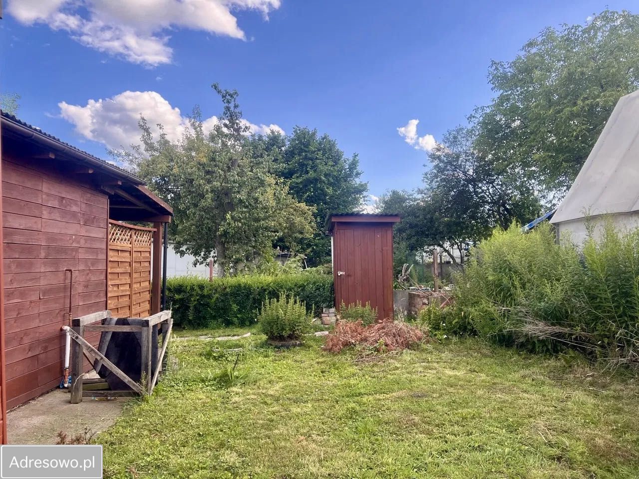 Działka rod Bytom Śródmieście. Zdjęcie 2