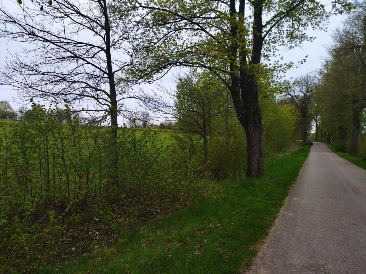 Działka budowlana Rumy. Zdjęcie 16