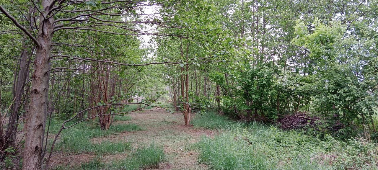 Działka budowlana Grodzisk Mazowiecki, ul. Szczęsna. Zdjęcie 3