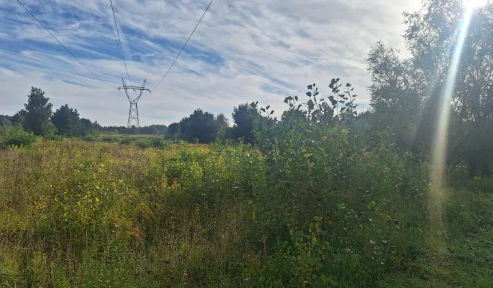 Działka inwestycyjna Złotniki, ul. Czołgowa
