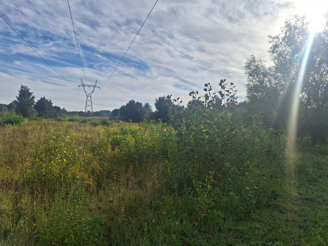 Terreno