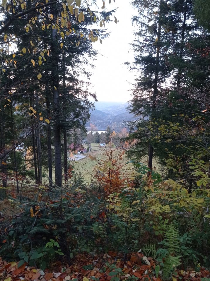 Działka rolno-budowlana Wisła Czarne, os. Bobrów. Zdjęcie 14