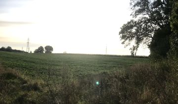 Działka rolno-budowlana Wałdowo Królewskie, ul. Izbicka