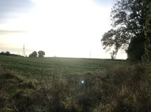 Działka rolno-budowlana Wałdowo Królewskie, ul. Izbicka. Zdjęcie 1