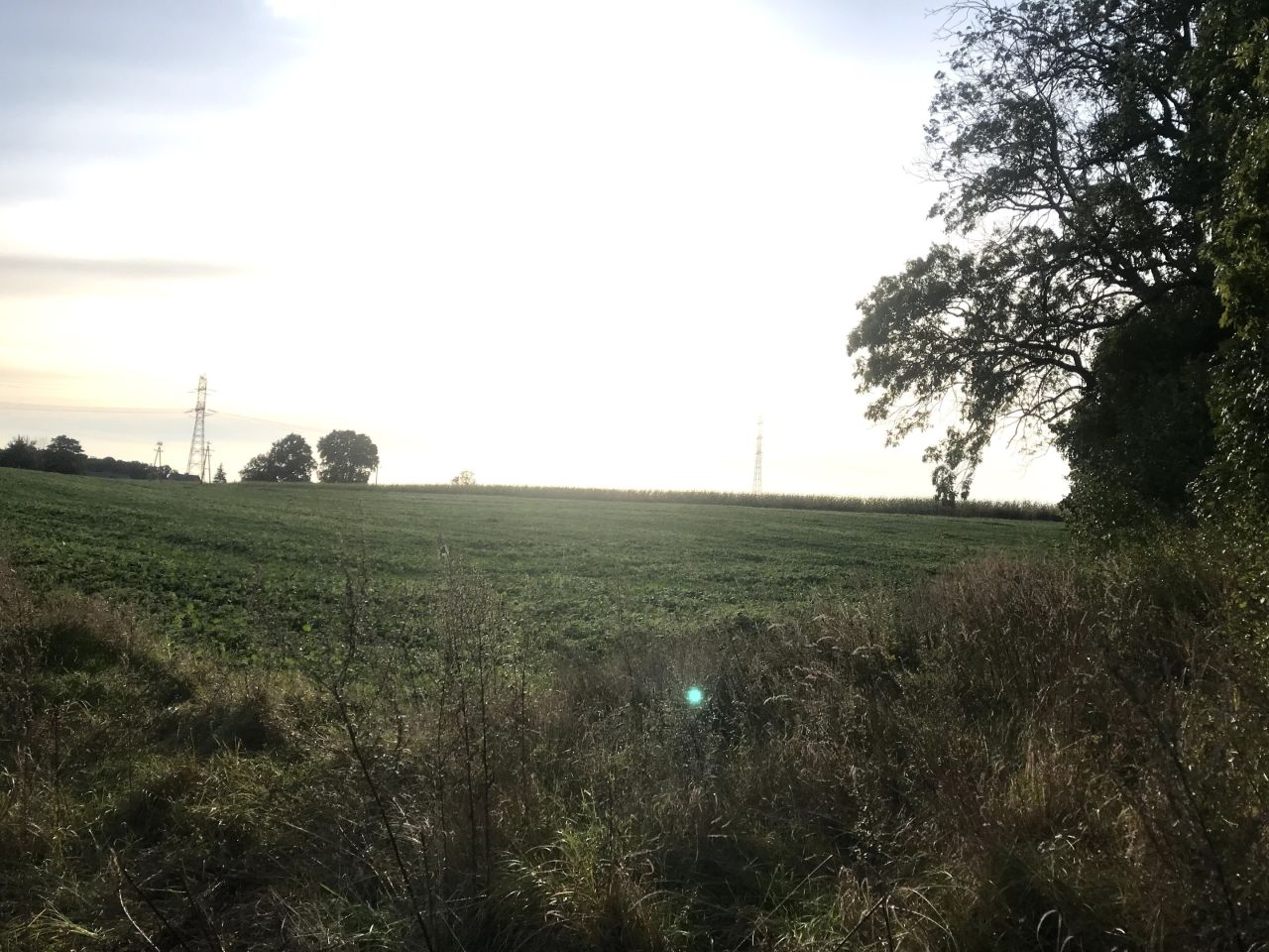 Działka rolno-budowlana Wałdowo Królewskie, ul. Izbicka. Zdjęcie 2