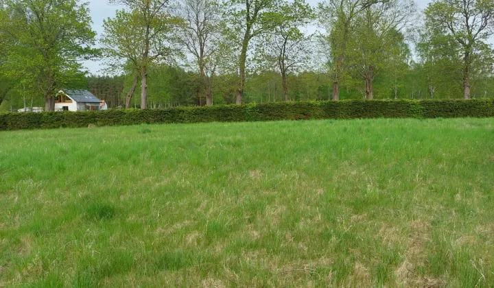 Działka rolna Gostyniec