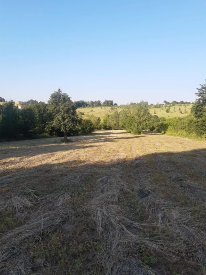 Działka rolno-budowlana Lednica Górna. Zdjęcie 5