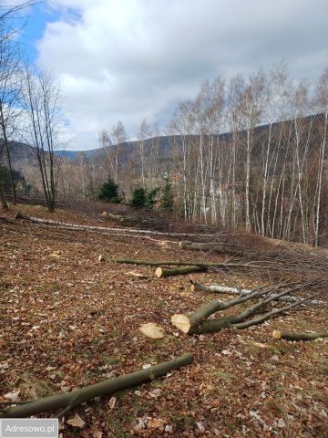 Działka budowlana Piechowice, ul. Skalna. Zdjęcie 1