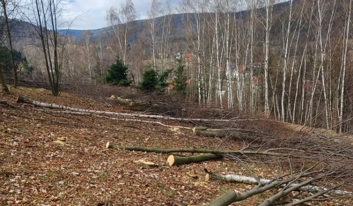Działka budowlana Piechowice, ul. Skalna