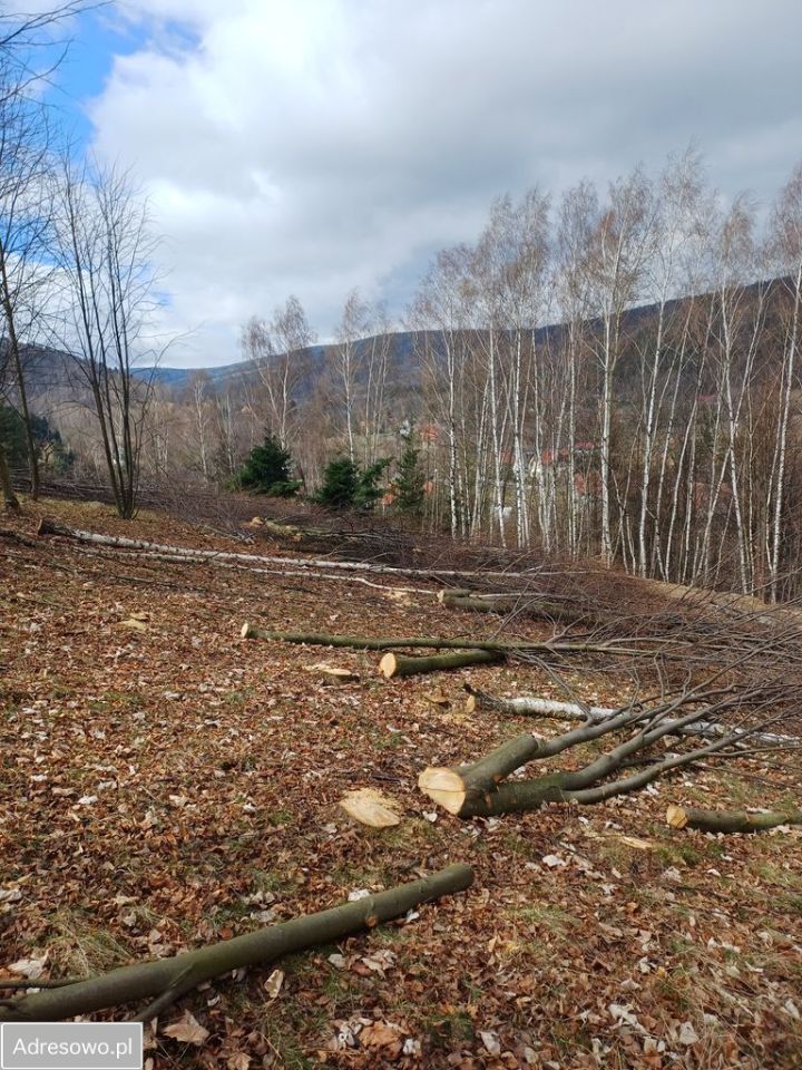 Działka budowlana Piechowice, ul. Skalna. Zdjęcie 1