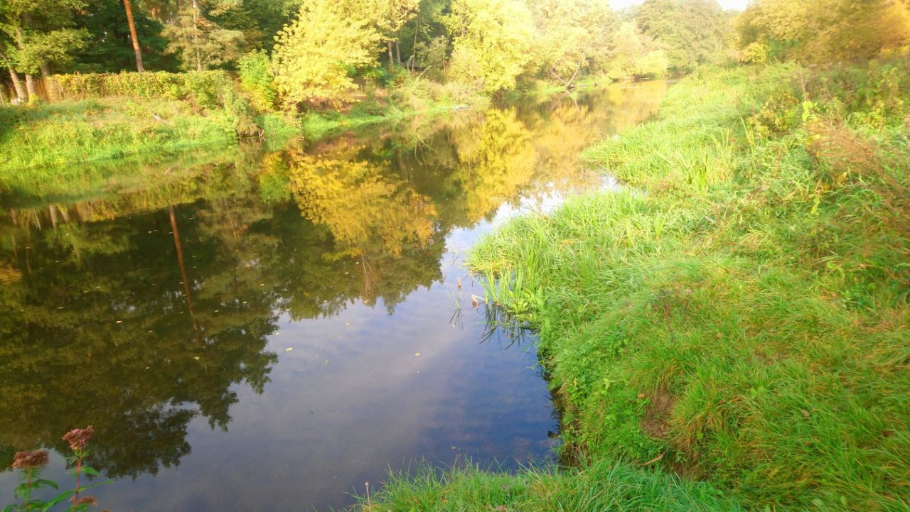 Działka budowlana Popielżyn-Zawady. Zdjęcie 8