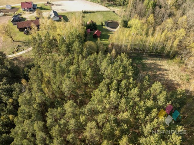 Działka leśna Świętajno, ul. Grunwaldzka. Zdjęcie 3