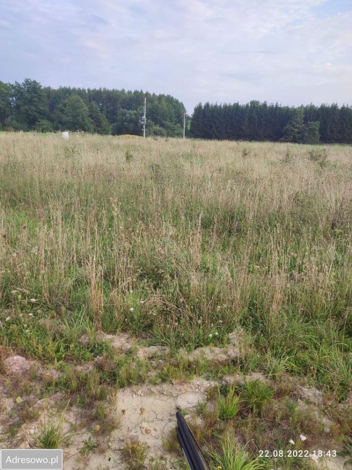 Działka budowlana Szczecinowo. Zdjęcie 5