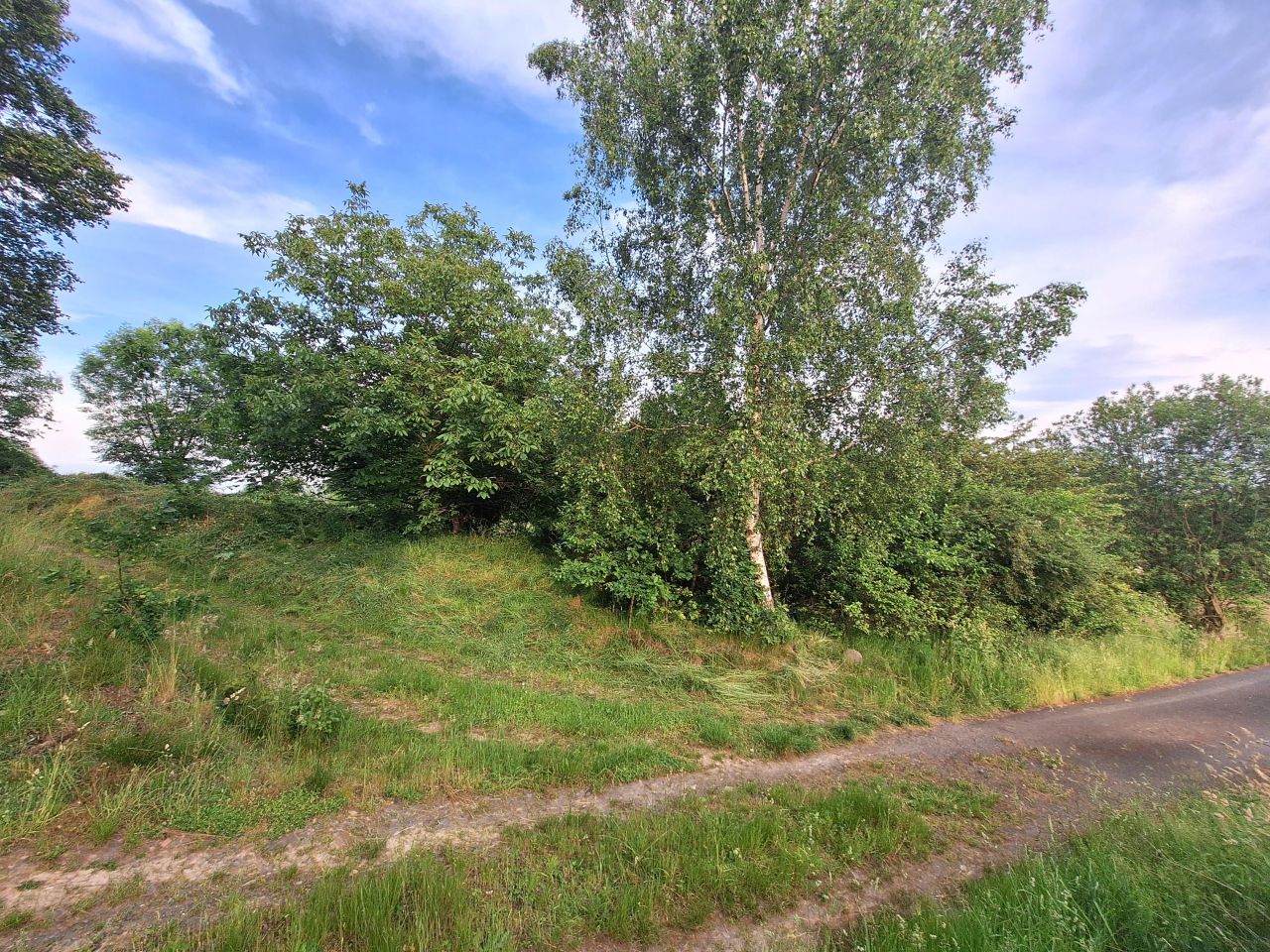 Działka siedliskowa Radostów Górny. Zdjęcie 4