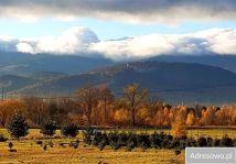 Działka rolna Wojcieszyce. Zdjęcie 3