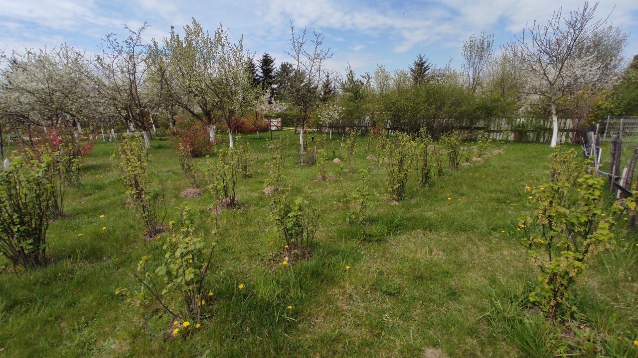 Działka rod Radom Potkanów, ul. Żelazna. Zdjęcie 6