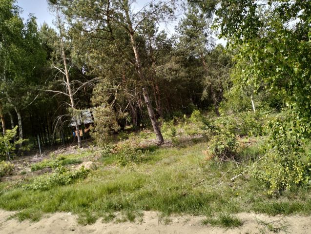 Działka budowlana Zasonie. Zdjęcie 1