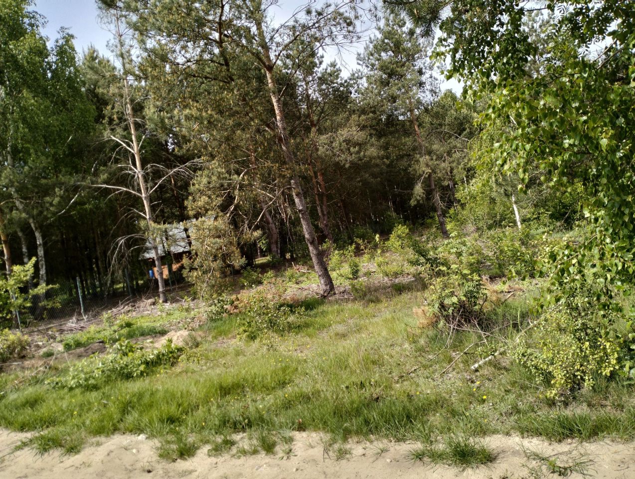 Działka budowlana Zasonie