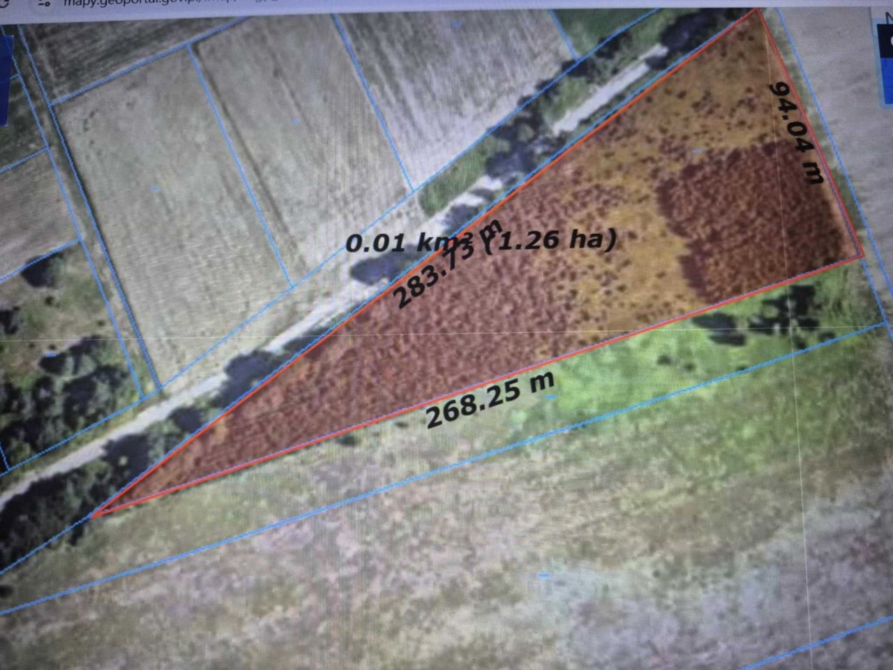 Działka leśna Kuryłówka. Zdjęcie 2