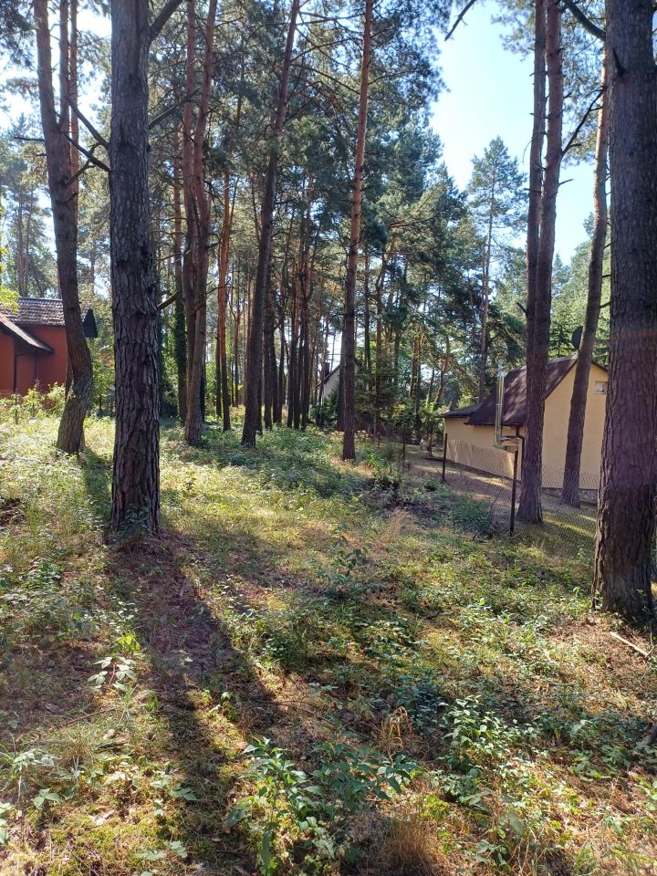 Działka budowlana Siamoszyce, ul. Edukacyjna. Zdjęcie 4