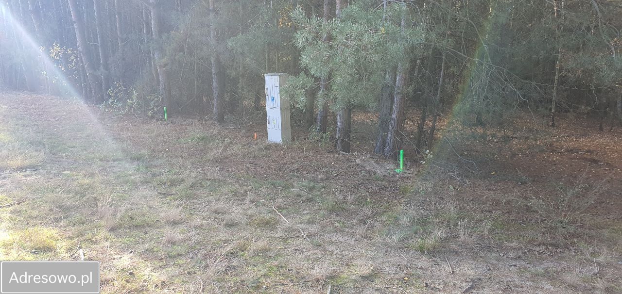 Działka rekreacyjna Chrzypsko Małe. Zdjęcie 2