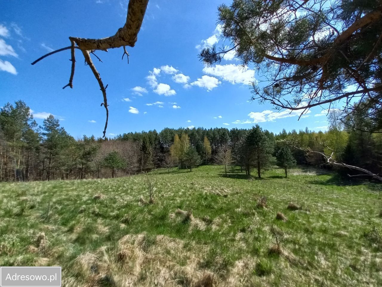 Działka rolna Niebrzydowo Wielkie. Zdjęcie 16