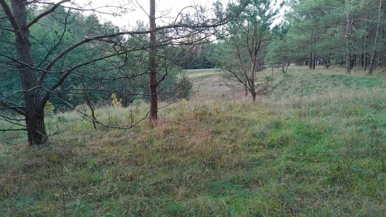 Działka rolno-budowlana Marksewo. Zdjęcie 6