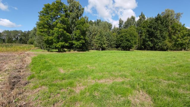 Działka rolno-budowlana Folwarki Małe. Zdjęcie 1