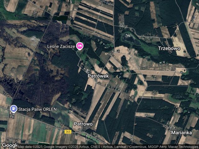 Działka rolna Patrówek. Zdjęcie 1