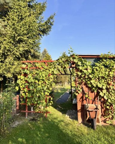 Działka rod Bolesławiec. Zdjęcie 1