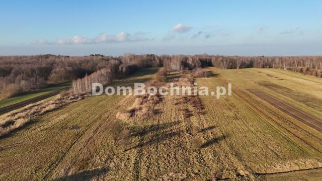 Działka budowlana Jodłówka. Zdjęcie 14