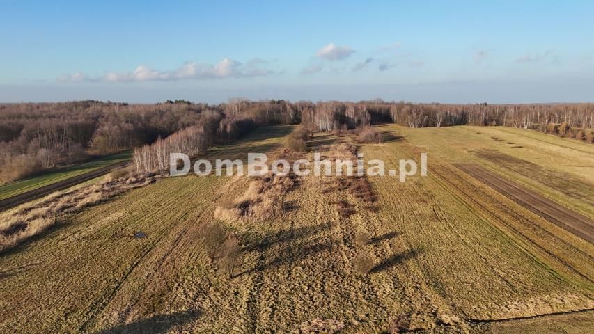 Działka budowlana Jodłówka. Zdjęcie 14