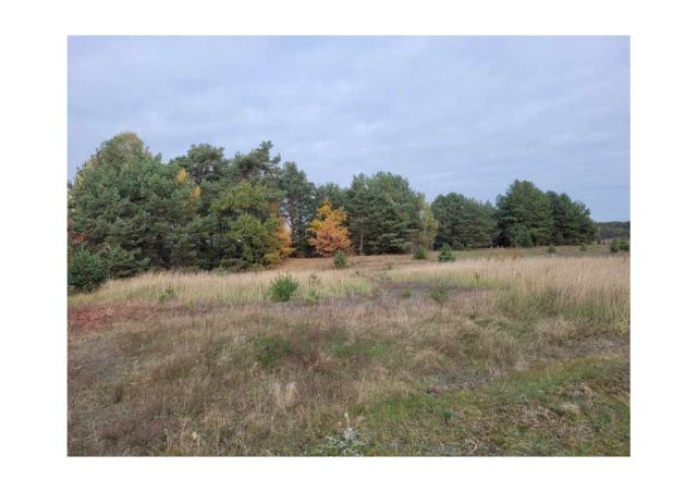 Działka rolno-budowlana Gnaty. Zdjęcie 3