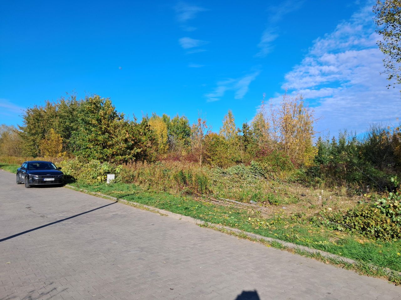 Działka budowlana Mysiadło, ul. Borówki. Zdjęcie 3