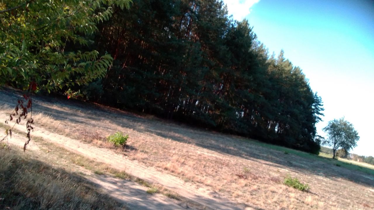 Działka rolna Żarnówko. Zdjęcie 4