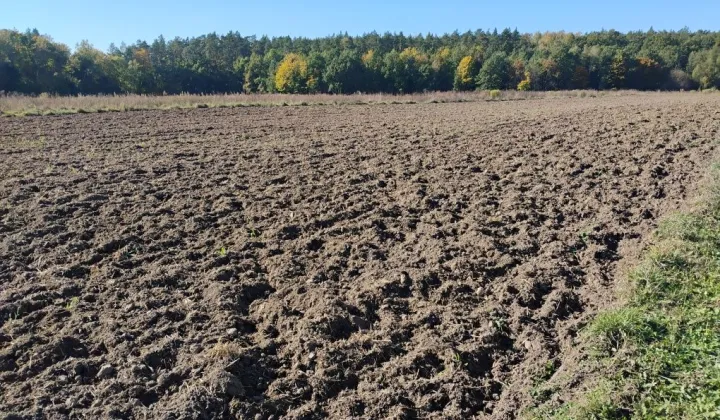 Działka budowlana Pokrzywno