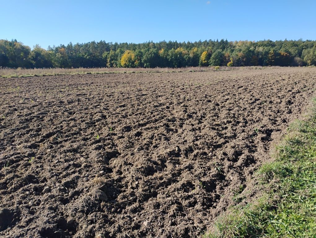 Działka budowlana Pokrzywno