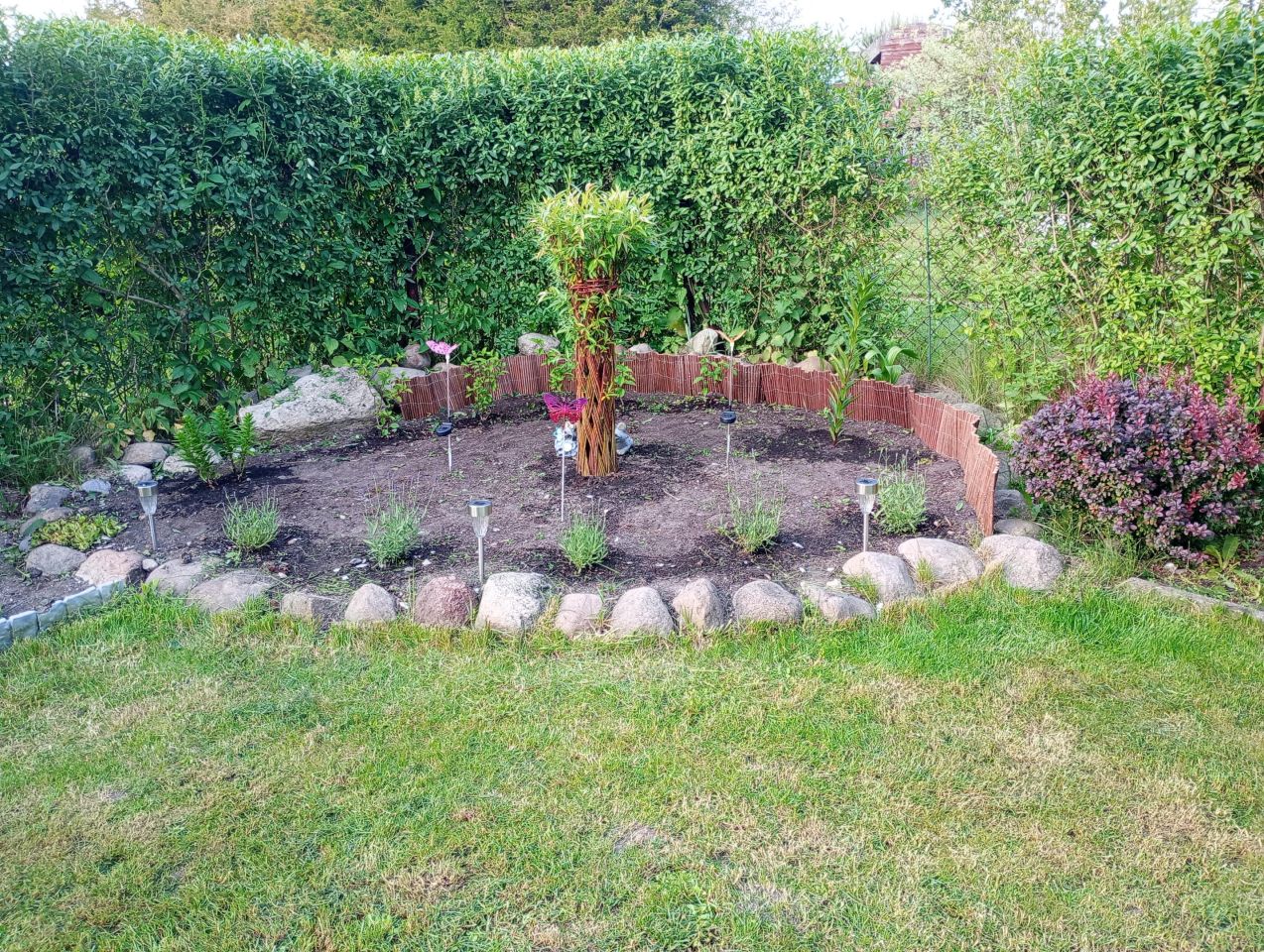 Działka rod Mokra Prawa. Zdjęcie 11