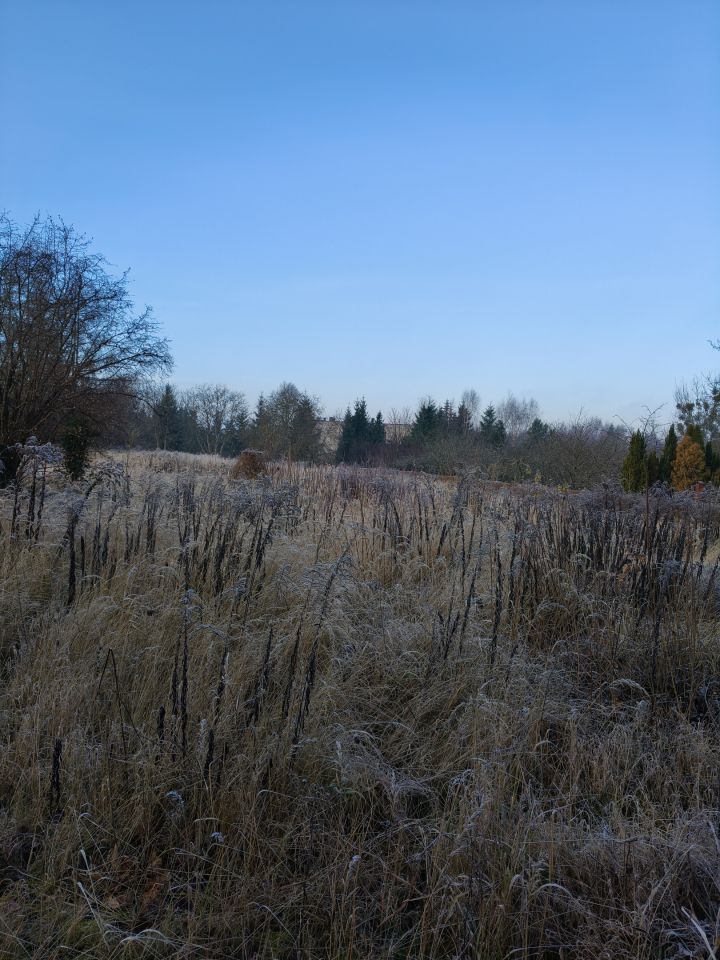 Działka inwestycyjna Wałcz Pierwszy. Zdjęcie 3