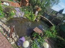 Działka rod Jagodowo osada leśna. Zdjęcie 3