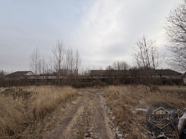 Działka inwestycyjna Węgorzyce. Zdjęcie 10