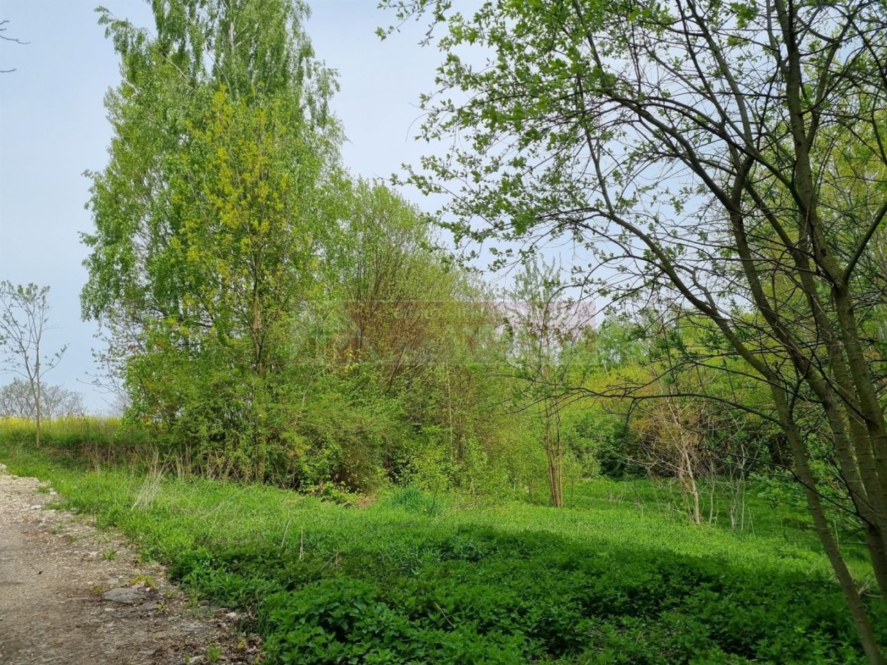 Działka budowlana Lipniak. Zdjęcie 10