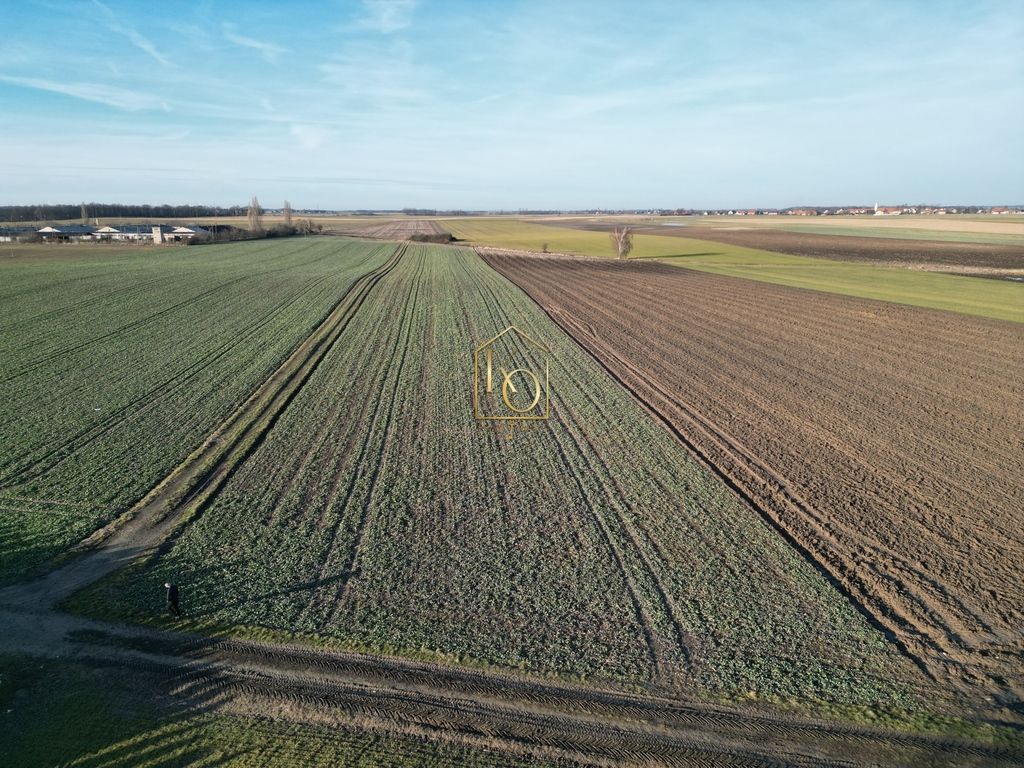 Działka rolno-budowlana Budziszów Wielki. Zdjęcie 2