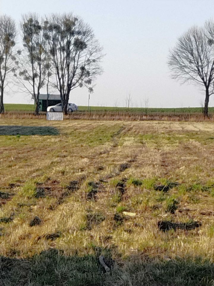 Działka budowlana Zofiówka. Zdjęcie 4