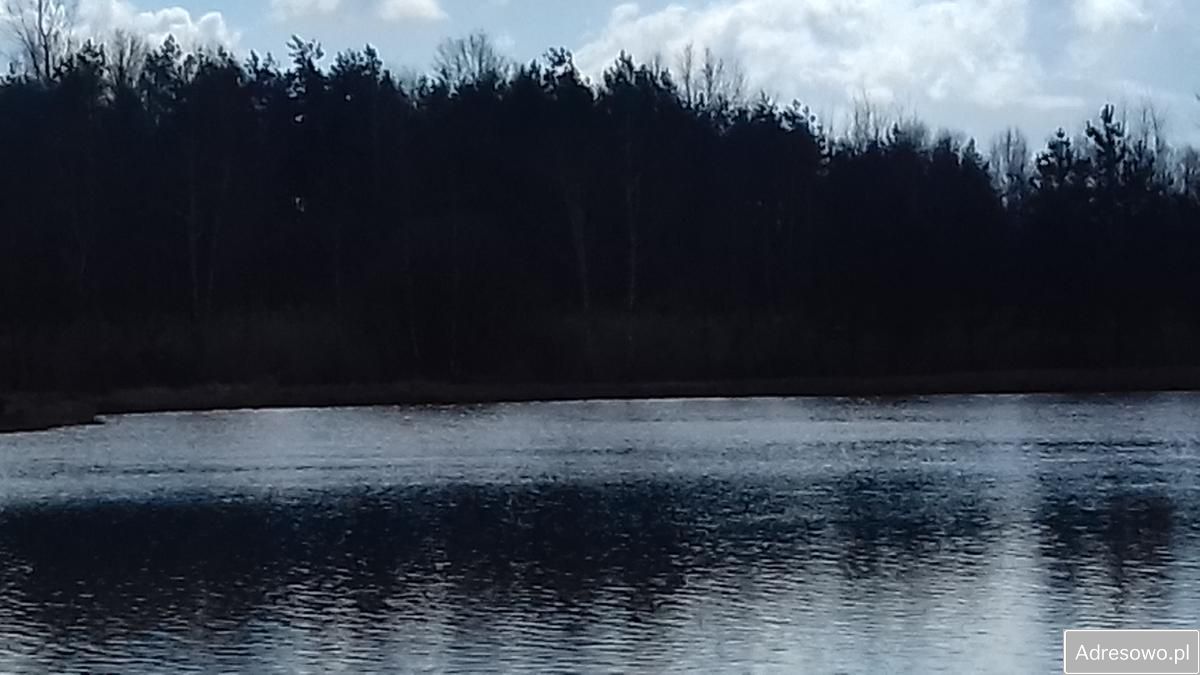 Działka rolna Jaworzno Jeleń, ul. Rozwojowa. Zdjęcie 7