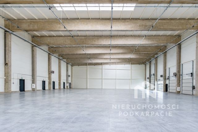 Hala/magazyn Rzeszów Dworzysko, ul. Biznesowa. Zdjęcie 16
