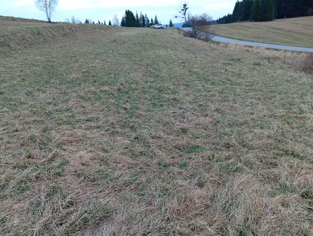 Działka budowlana Krzeszów. Zdjęcie 3