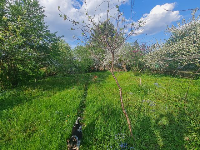 Działka rod Suwałki, ul. Sianożęć. Zdjęcie 1